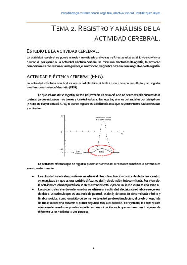 Miniatura del documento TEMA 2. REGISTRO Y ANÁLISIS DE LA ACTIVIDAD CEREBRAL.pdf