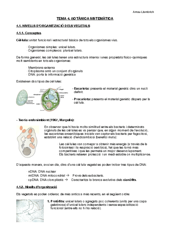 Miniatura del documento Apunts Botànica Farmacèutica (Tema 4).pdf