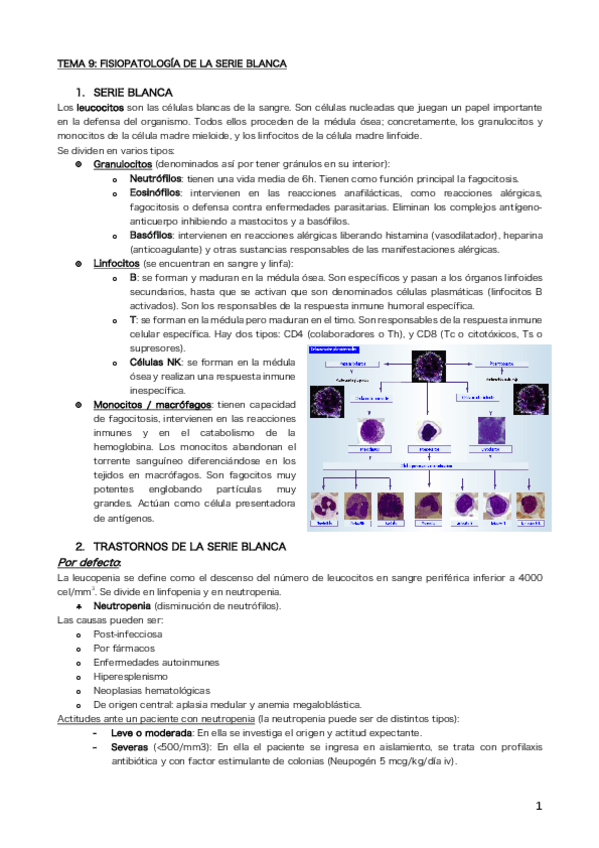 Miniatura del documento Tema 9.pdf