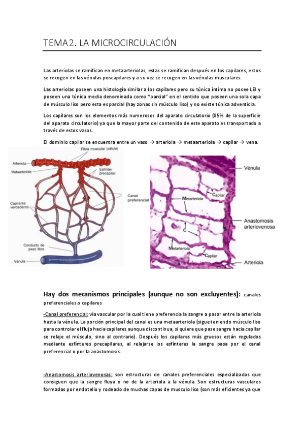Miniatura del documento Tema 2. Microcirculación..pdf
