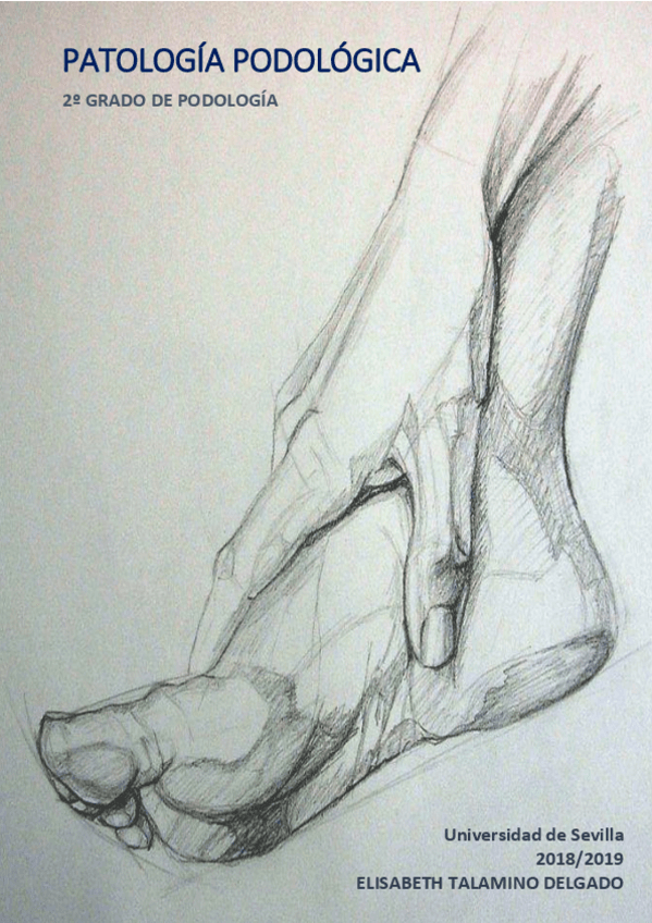 Miniatura del documento UNIDAD TEMÁTICA 1 (T1-T5 Y SEMINARIOS).pdf