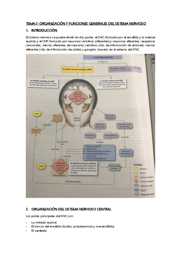 Miniatura del documento Temario completo Fisiología I.pdf