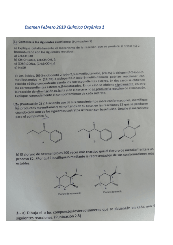 Miniatura del documento examen org1.pdf