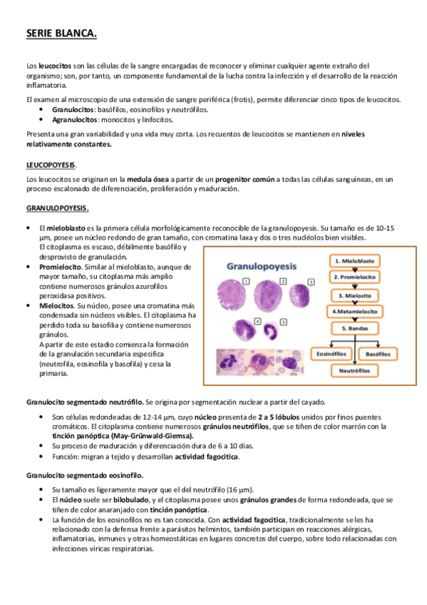 Miniatura del documento SERIE BLANCA.pdf