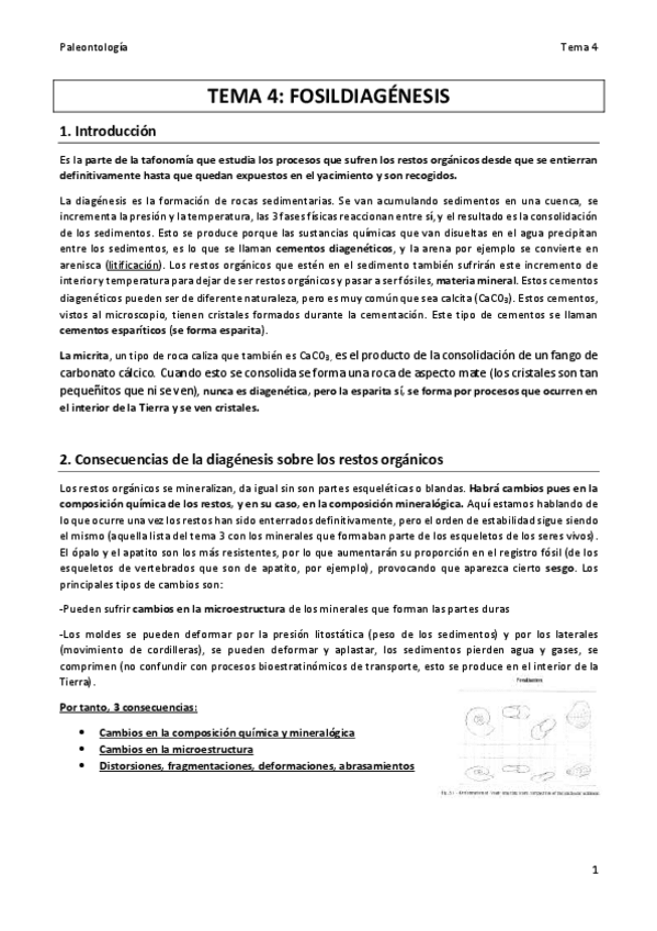 Miniatura del documento TEMA 4 PALEO final.pdf