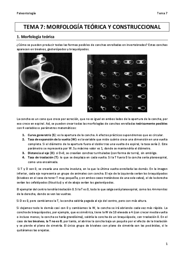 Miniatura del documento TEMA 7 PALEO final.pdf