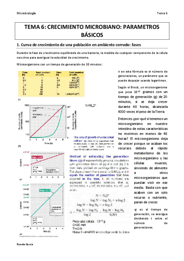 Miniatura del documento TEMA 6 MICRO final.pdf