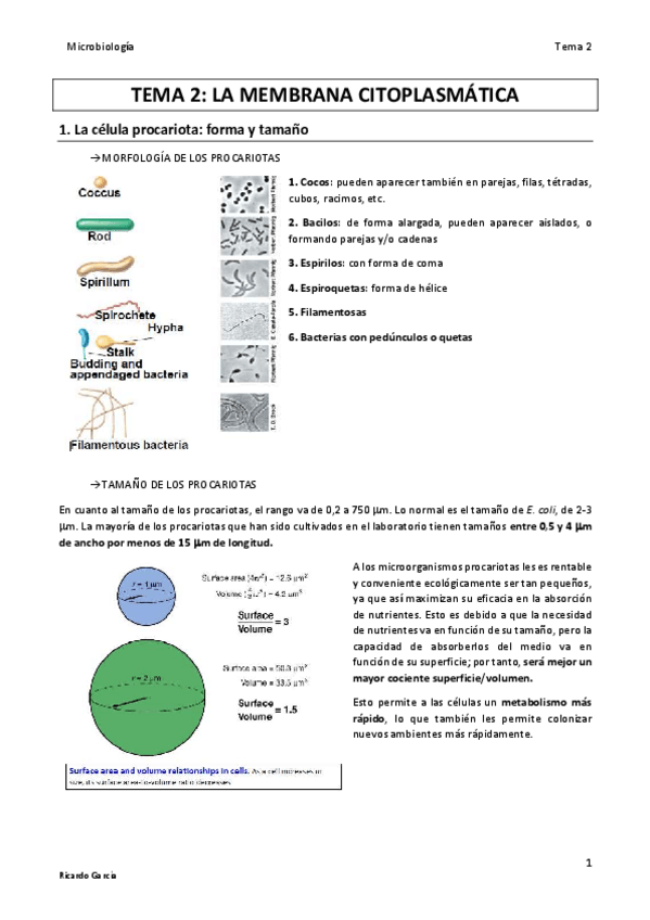Miniatura del documento TEMA 2 MICRO final.pdf