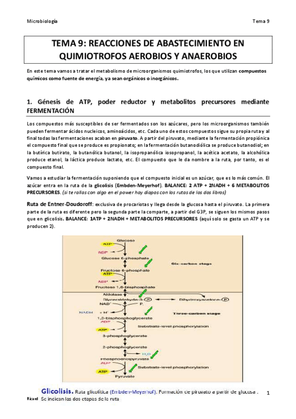 Miniatura del documento TEMA 9 MICRO COLOR final.pdf
