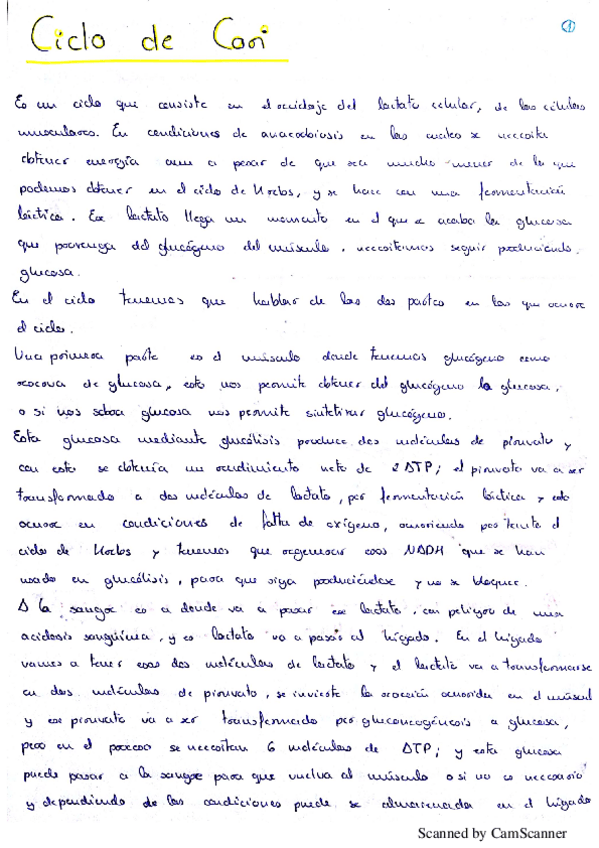 Miniatura del documento Ciclo de Cori.pdf