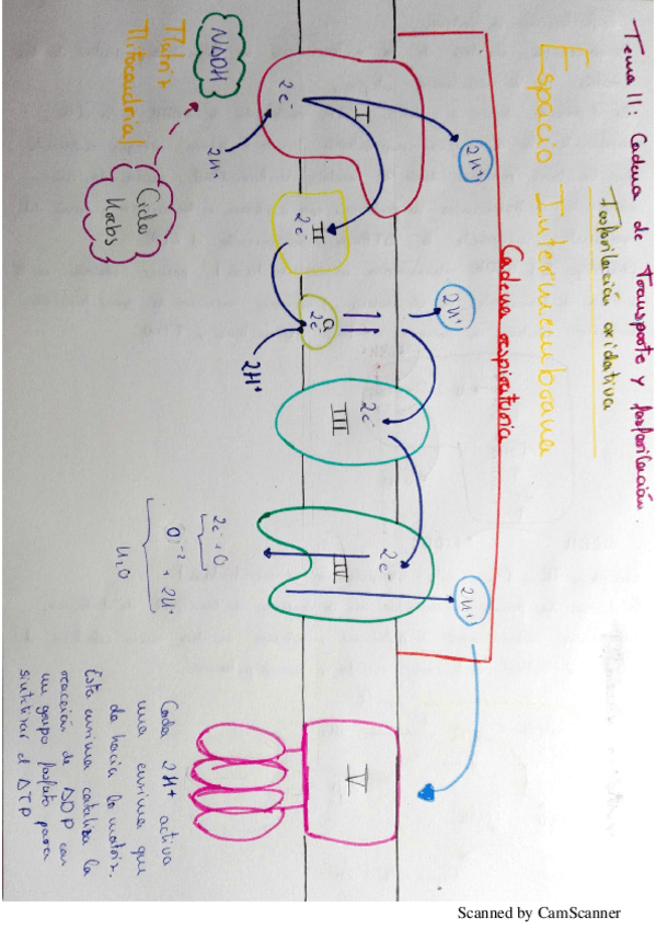 Miniatura del documento NuevoDocumento 2018-06-12.pdf