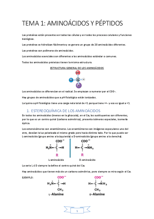 Miniatura del documento Bioquímica tema 1.pdf