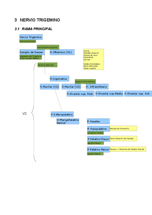 Miniatura del documento 02_04_Pares Craneales_acg.pdf