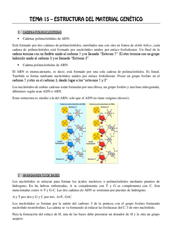 Miniatura del documento Tema_15_16_17_18_19_ Bioquimica.pdf