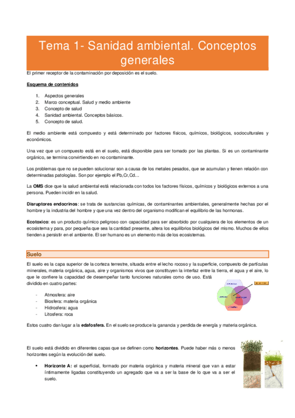 Miniatura del documento Tema 1.docx