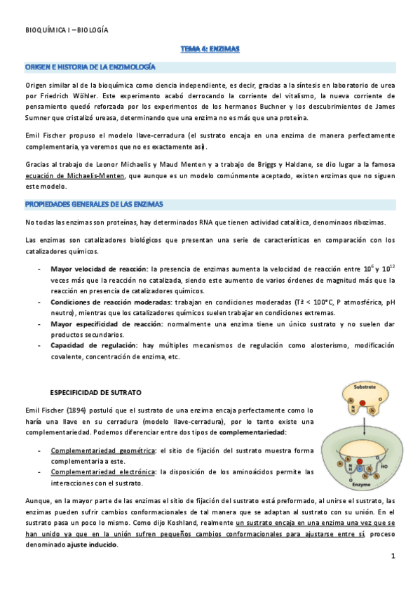 Miniatura del documento 04-05-06 (apuntes para segundo cuestionario).pdf