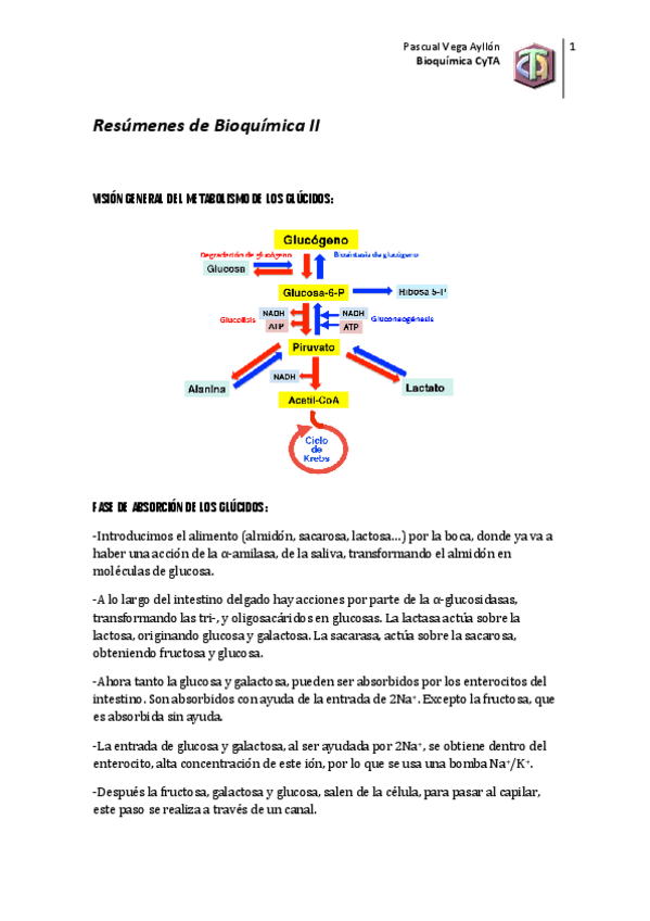 Miniatura del documento Bioquímica.pdf
