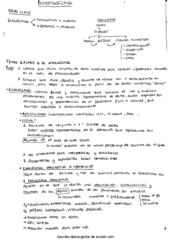 Miniatura del documento APUNTES COMPLETOS.pdf
