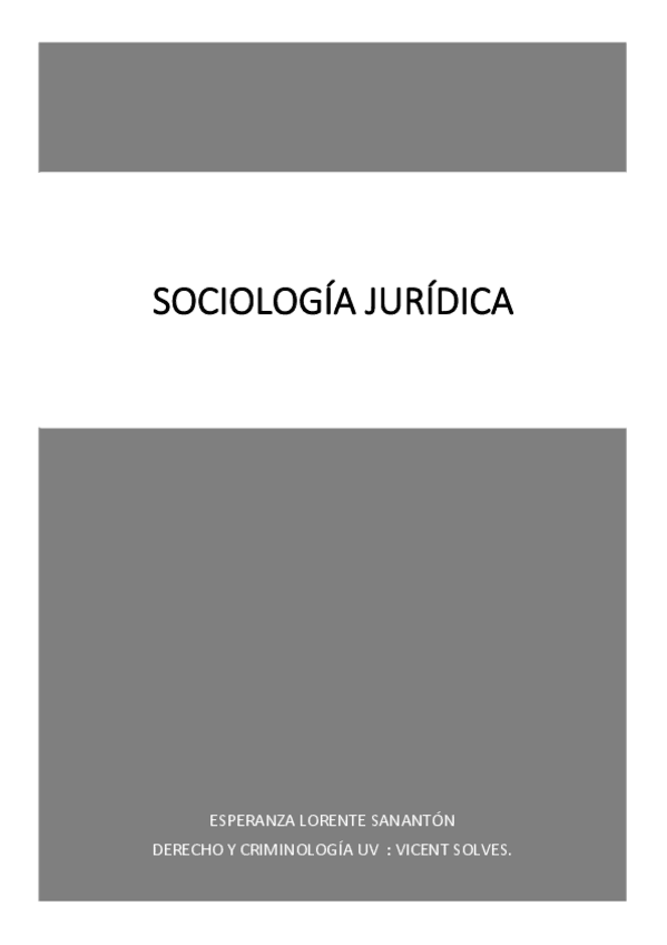 Miniatura del documento Apuntes sociología (completos) pdf.pdf