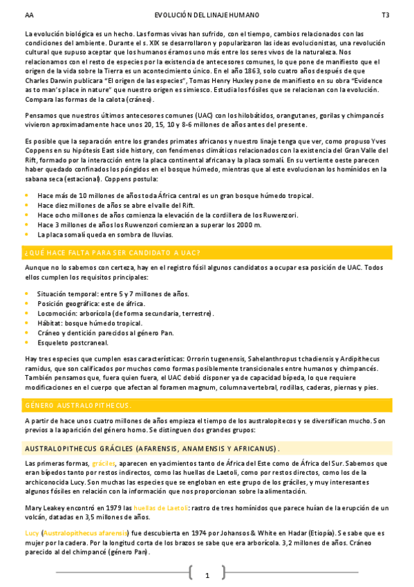 Miniatura del documento T3.pdf