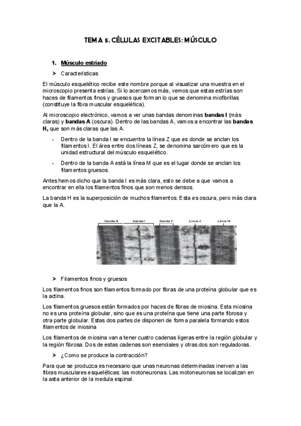 Miniatura del documento tema 5. musculo.pdf