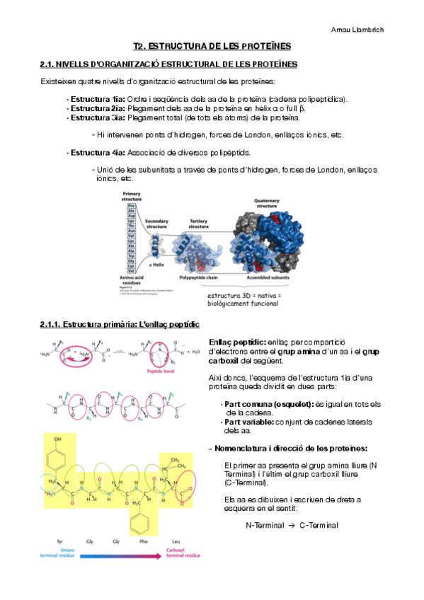 Miniatura del documento Apuns Bioquímica (Tema 2).pdf