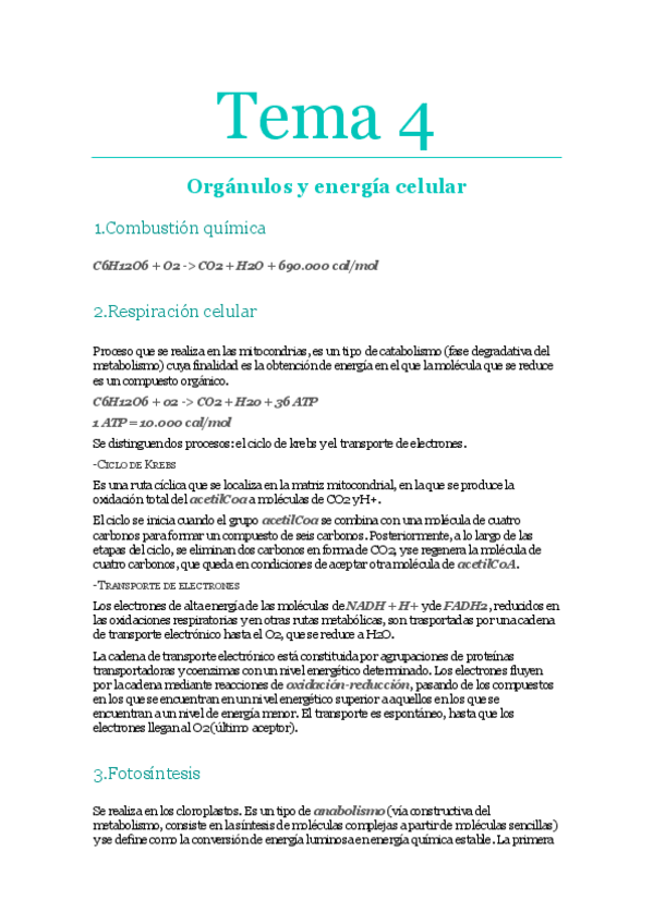 Miniatura del documento Tema 4.pdf