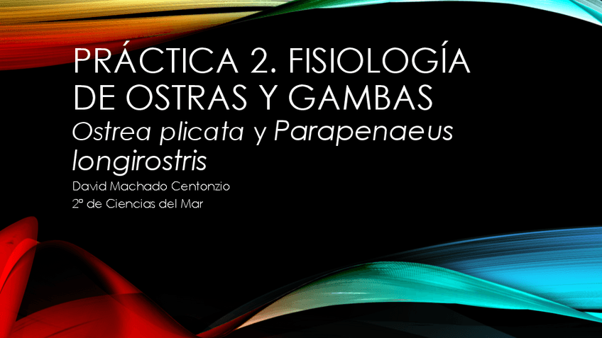 Miniatura del documento Práctica 2. Fisio.pdf