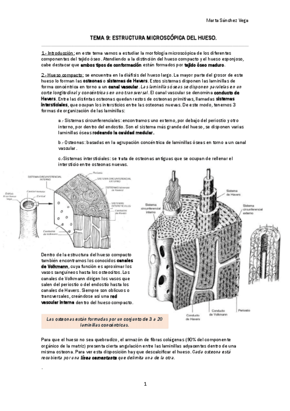Miniatura del documento TEMA 9 ESTRUCTURA MICROSCÓPICA DEL HUESO.pdf