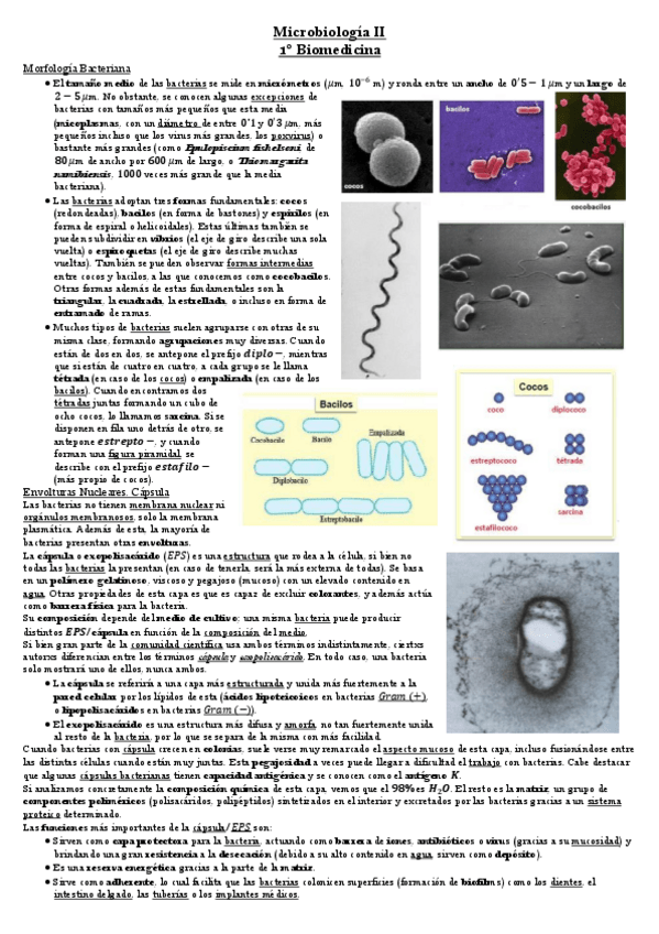 Miniatura del documento Tema 2 Microbiología.pdf