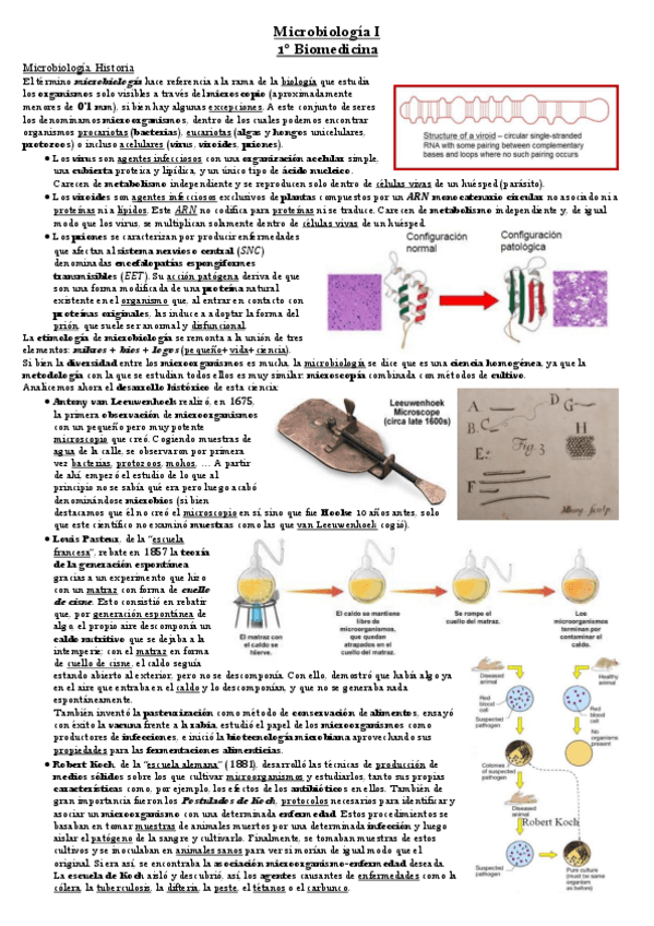 Miniatura del documento Tema 1 Microbiología.pdf