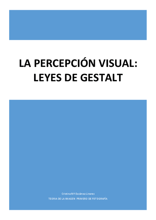 Miniatura del documento LA PERCEPCIÓN VISUAL.pdf