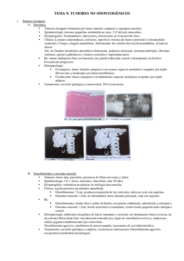 Miniatura del documento TEMA 9.docx