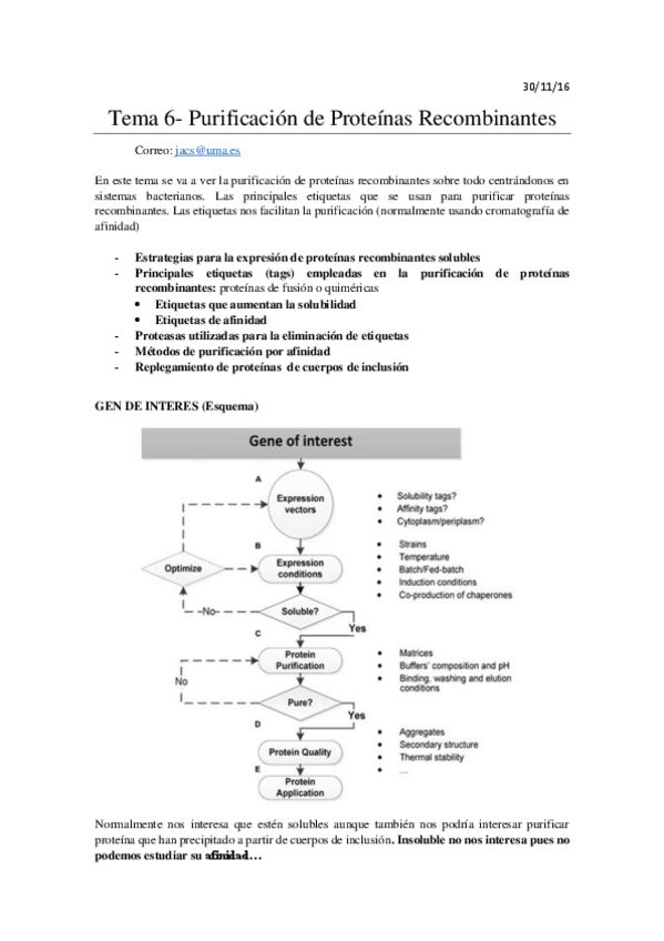 Miniatura del documento Tema 6- Purificación de Proteínas Recombinantes.pdf