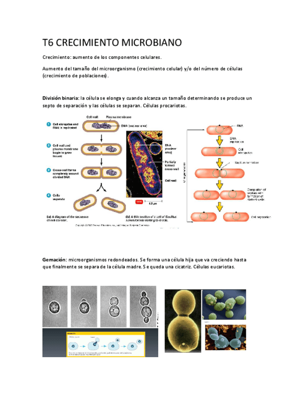 Miniatura del documento 6 Microbiologia.pdf