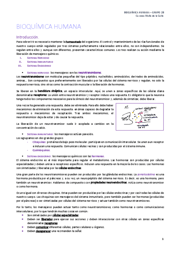 Miniatura del documento 1. Regulación y Señalización.pdf