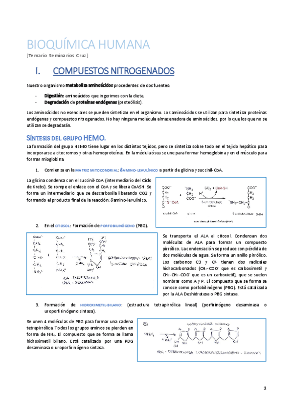 Miniatura del documento Compuestos Nitrogenados..pdf