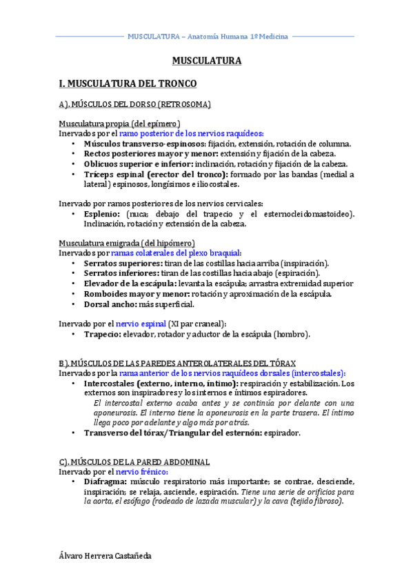 Miniatura del documento MUSCULATURA.pdf