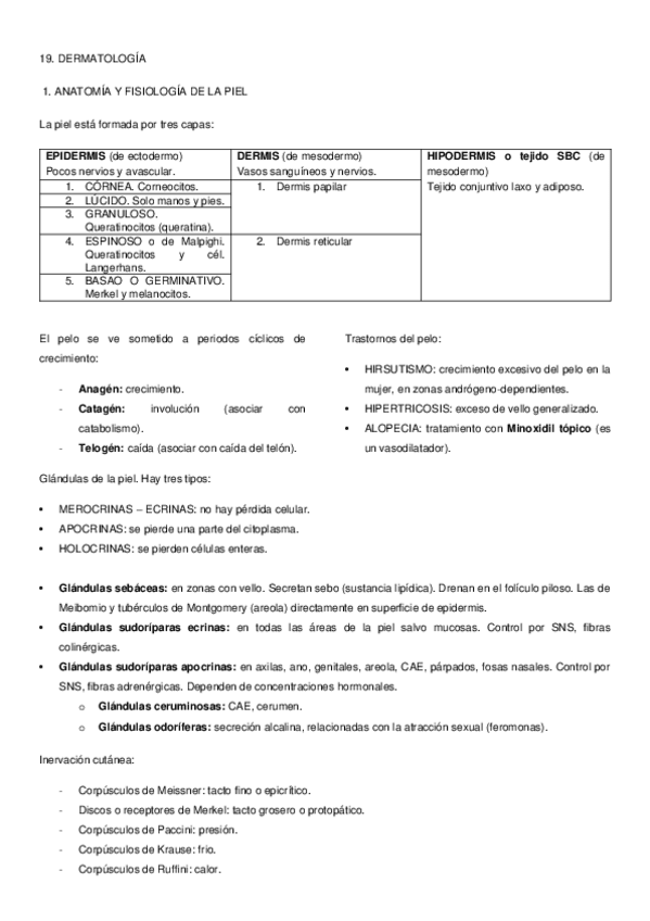 Miniatura del documento PREPARACIÓN EIR - 19. DERMATOLOGÍA.docx