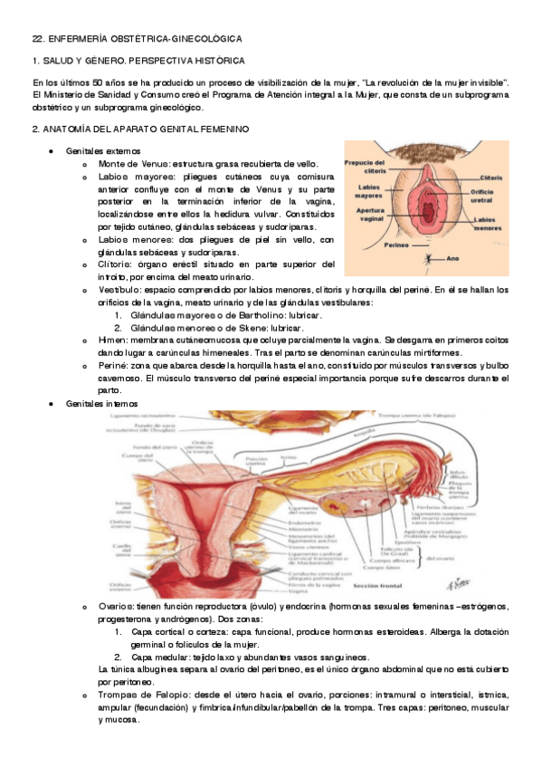 Miniatura del documento PREPARACIÓN EIR - 22. OBSTÉTRICO-GINE.pdf