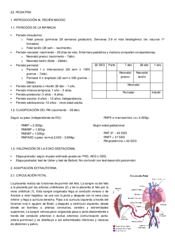 Miniatura del documento PREPARACIÓN EIR - 23. PEDIATRÍA.docx