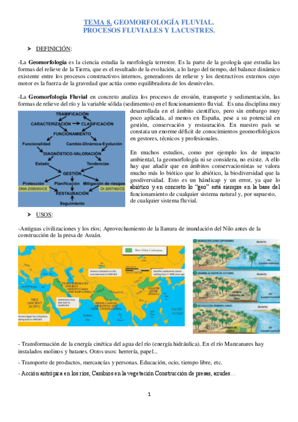 Miniatura del documento TEMA 8 GEOMORFOLOGIA FLUVIAL.pdf