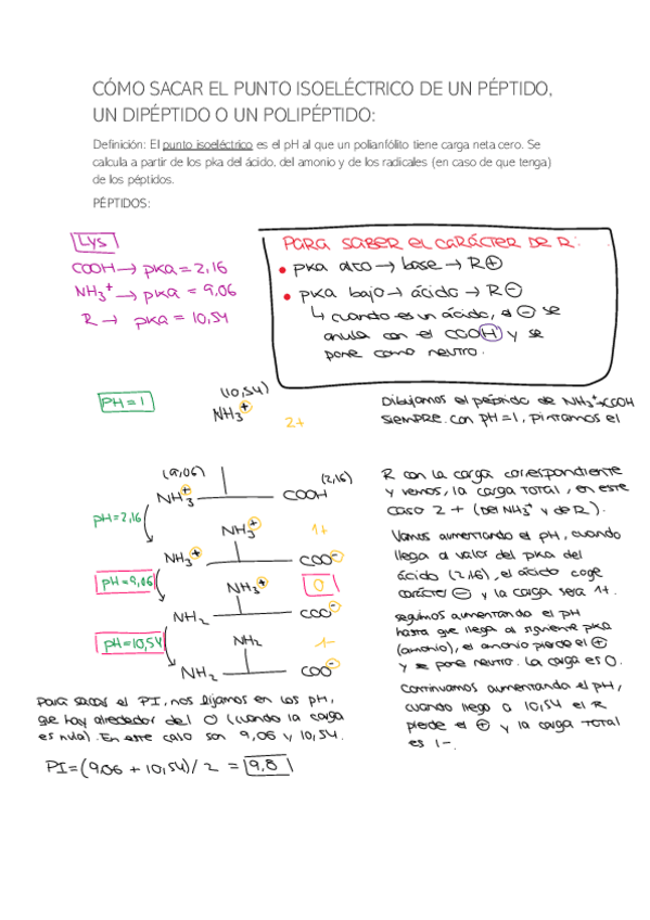Miniatura del documento punto isoelectrico.pdf