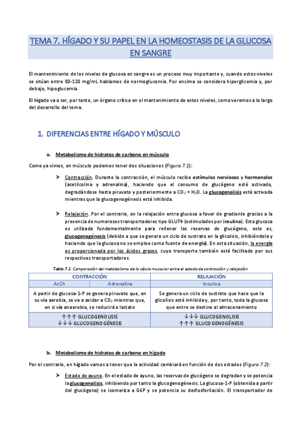 Miniatura del documento Tema 7. Hígado y su papel en la homeostasis de la glucosa en sangre. Papel del glucógeno hepático en la adaptación metabólica al ayuno.pdf