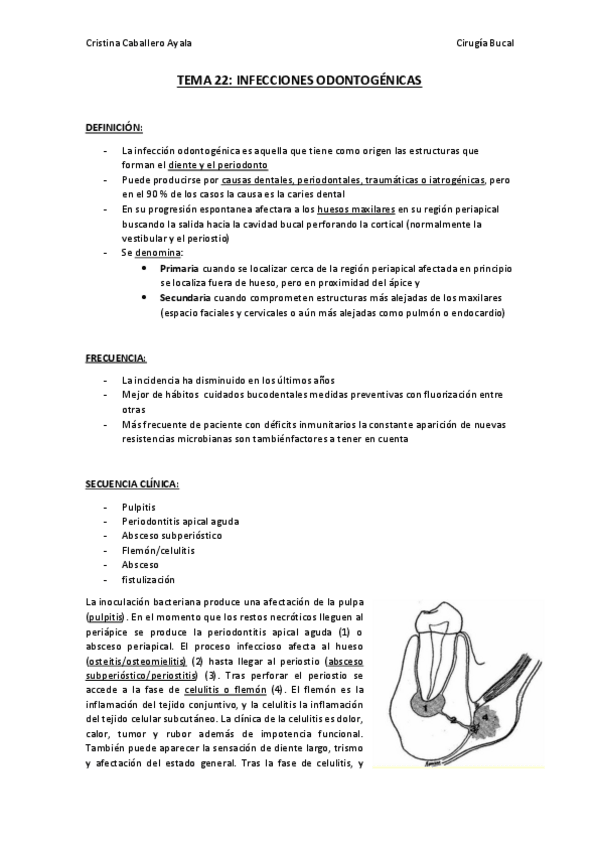 Miniatura del documento TEMA 22.pdf