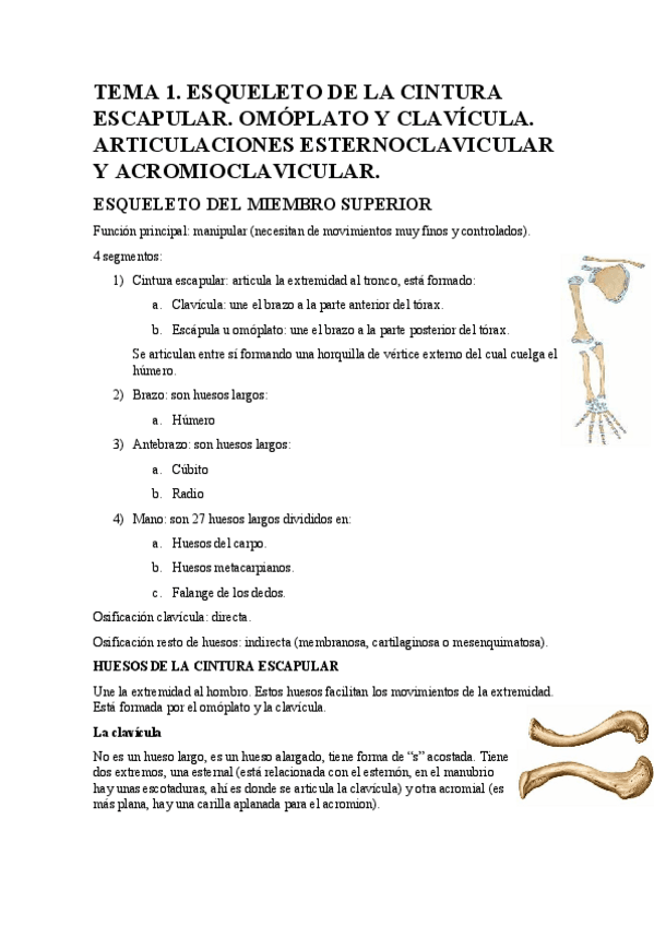 Miniatura del documento TEMA 1.pdf
