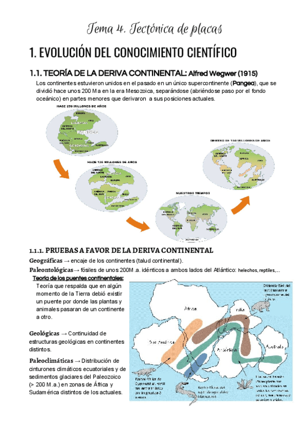 Miniatura del documento Tema 4. Tectónica de placas.pdf