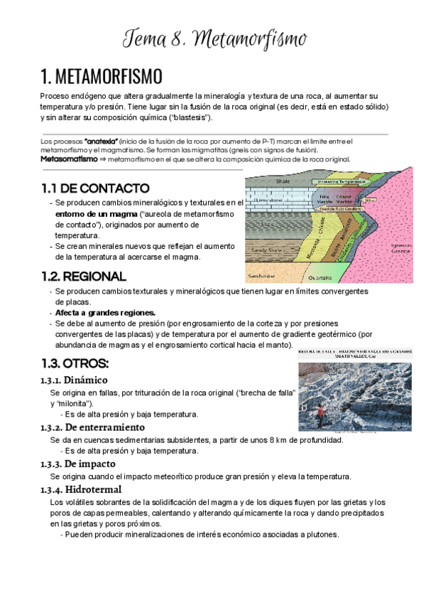Miniatura del documento Tema 8. Metamorfismo.pdf