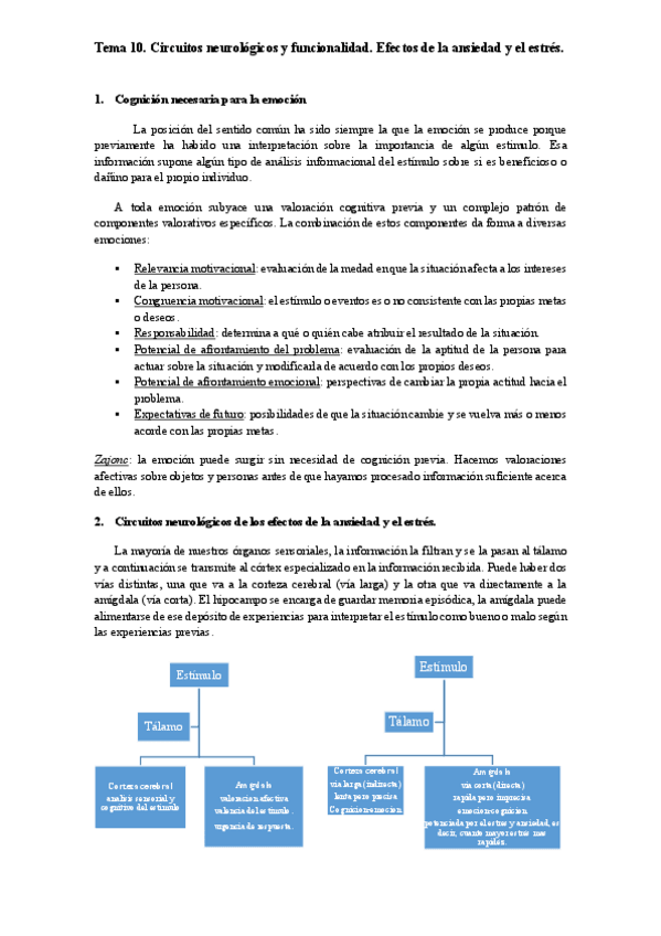 Miniatura del documento T.10.pdf