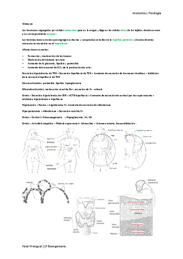 Miniatura del documento Tema 18.pdf